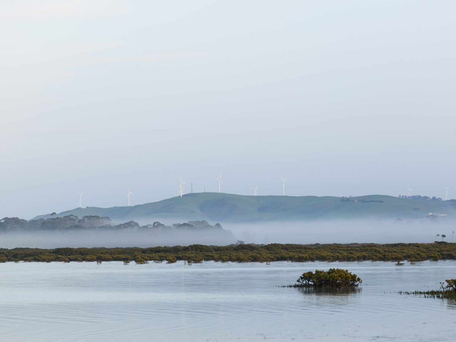 WGCMA | Rivers, estuaries and wetlands