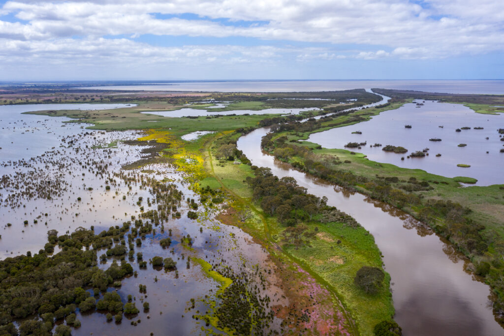 Sale Wetlands