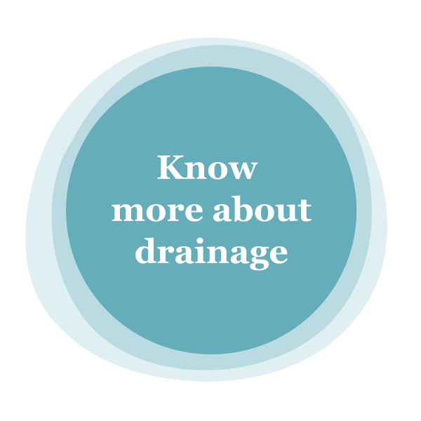 Know more about drainage