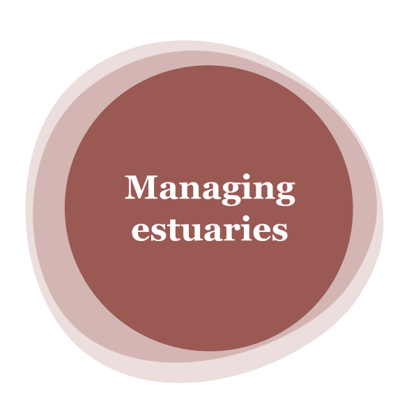 Managing estuaries