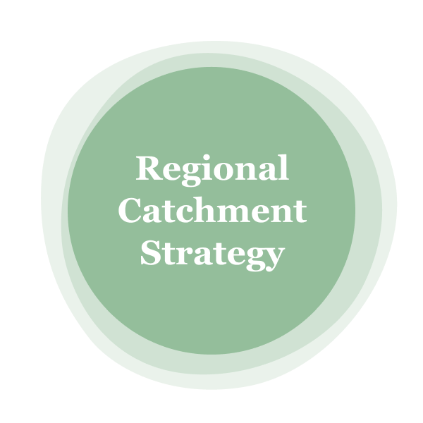 Regional Catchment Strategy