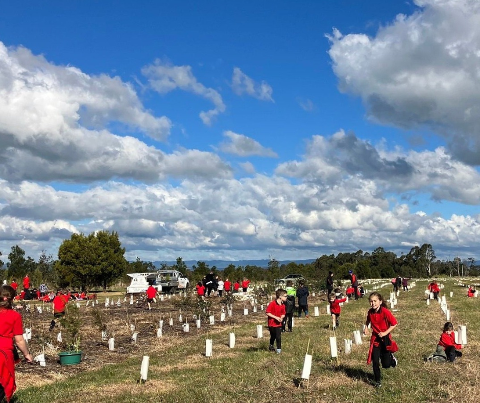 Children outside planting trees