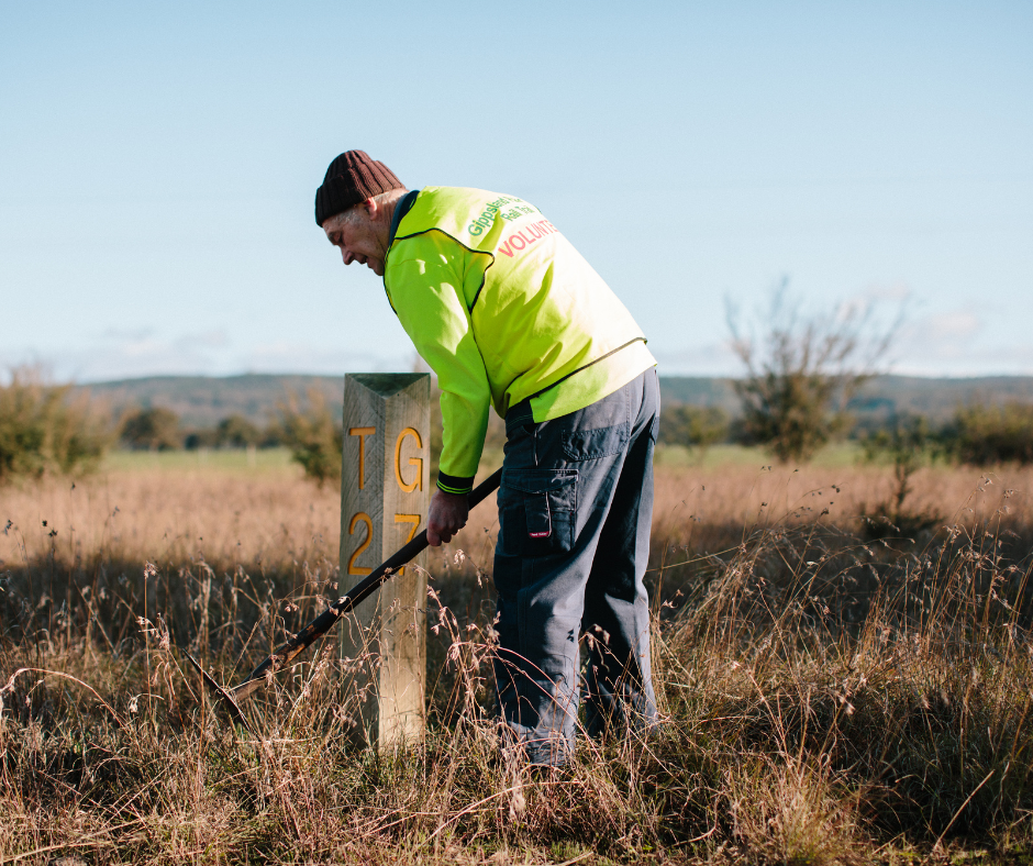 Man in high-vis vest maintaining vegetation