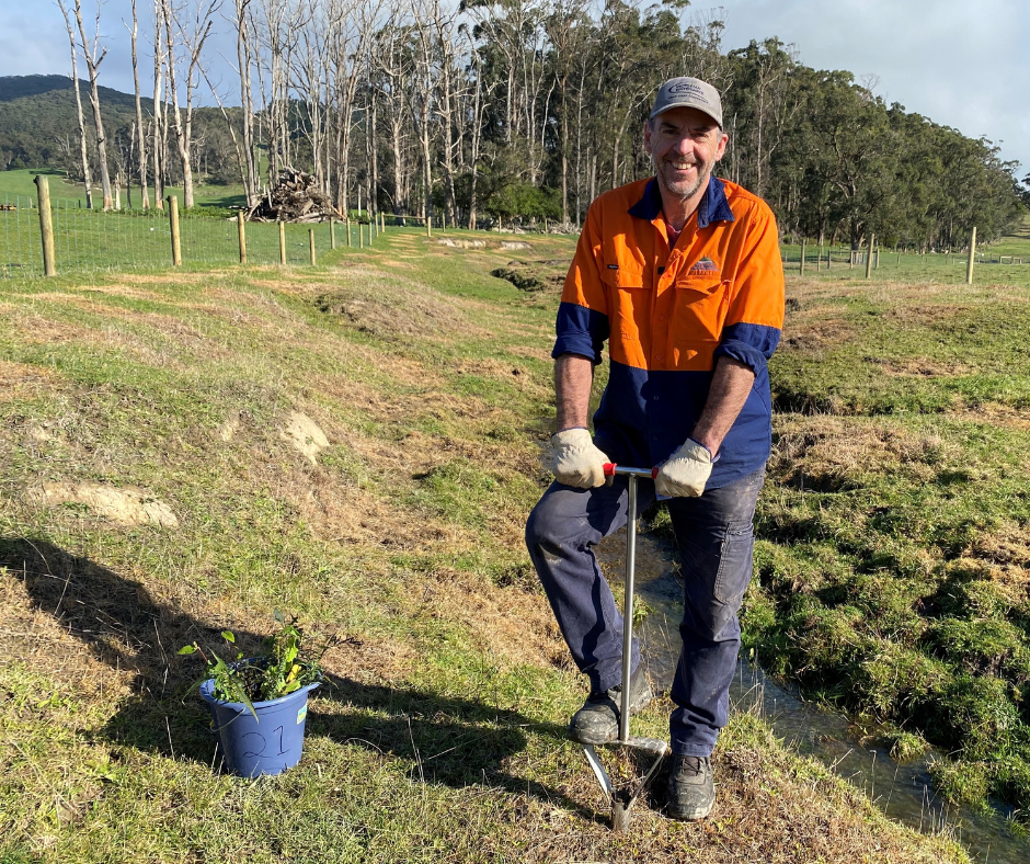 Man digging a hole for tree planting on a farm