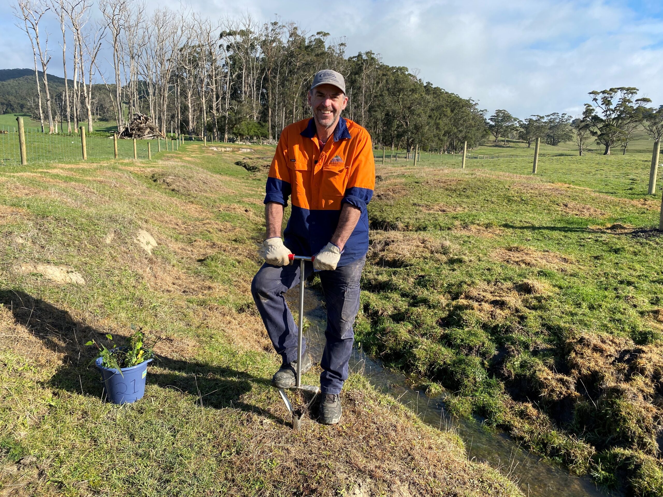 Man digging a hole for tree planting on a farm