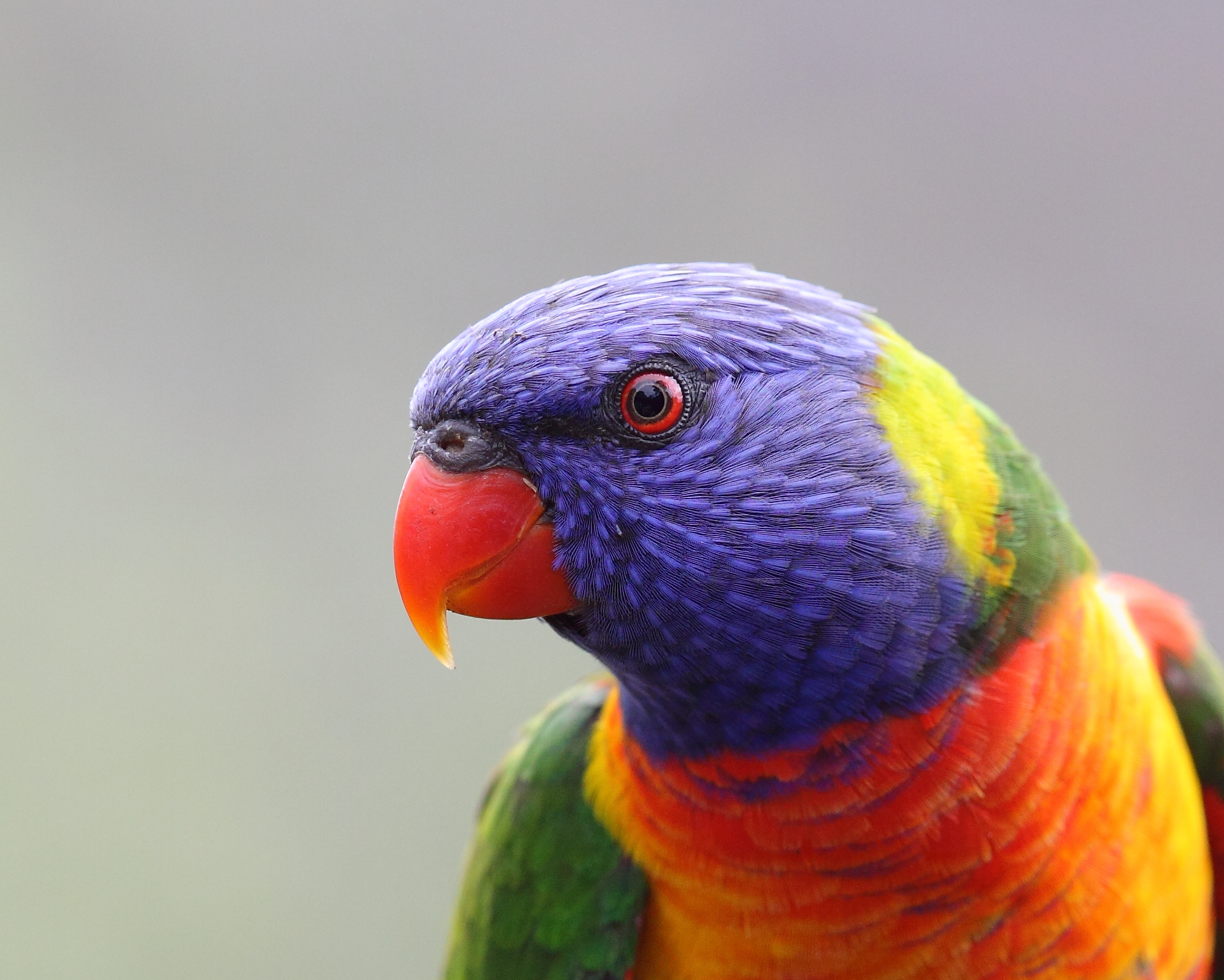 Join our October Bioblitz